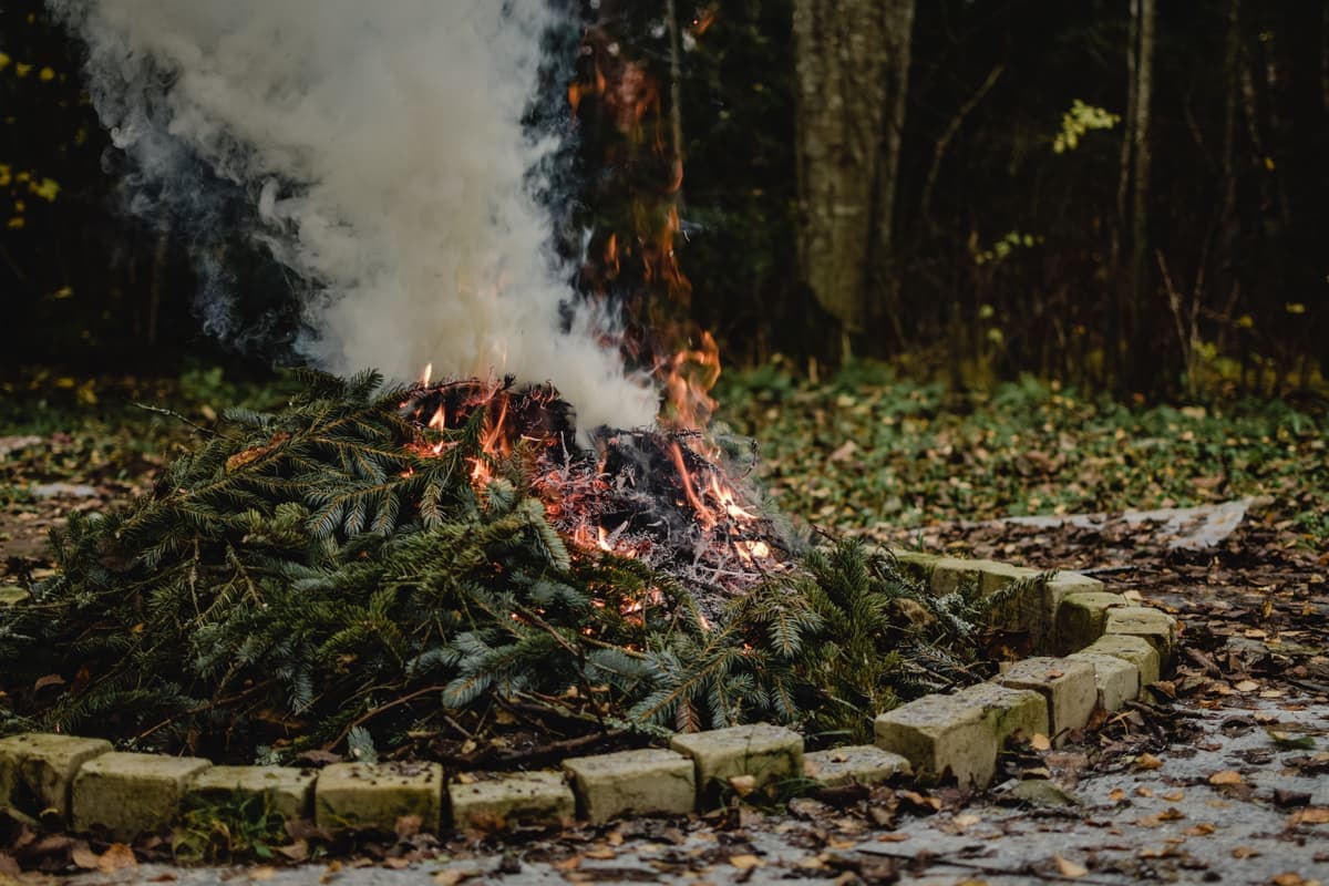 A small fire burning in an outdoor fire pit