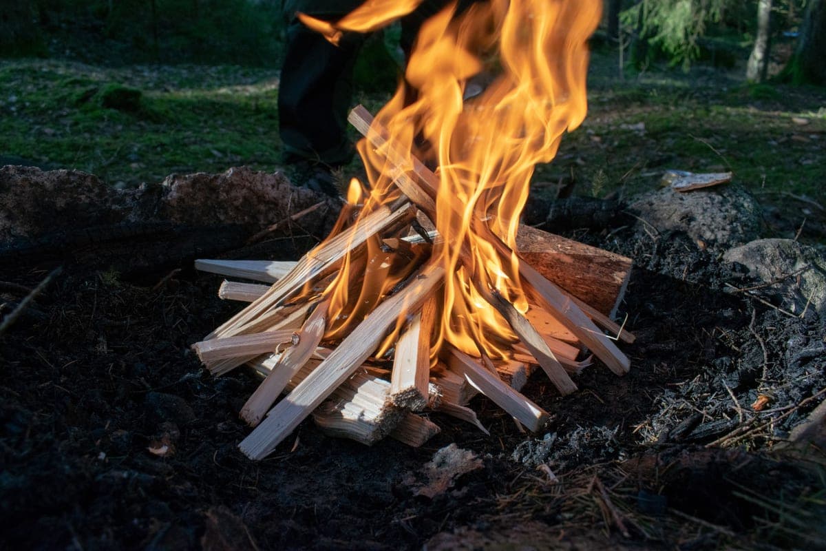 Kindling and small flames at the base of a new fire