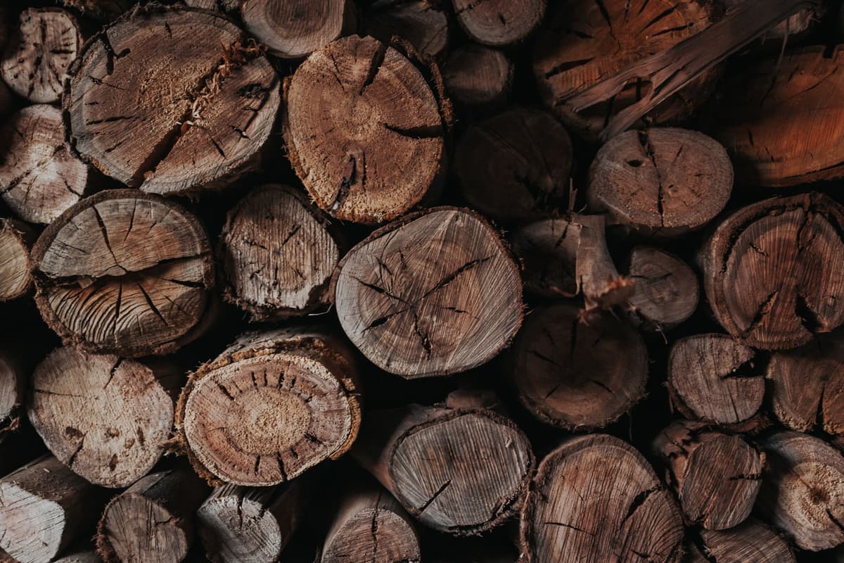 A dense stack of cut log ends in a seasoning woodpile