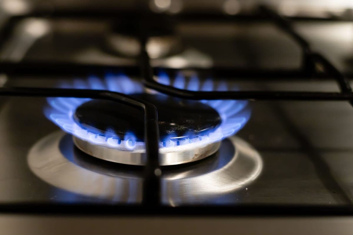A close-up of a burner flame
