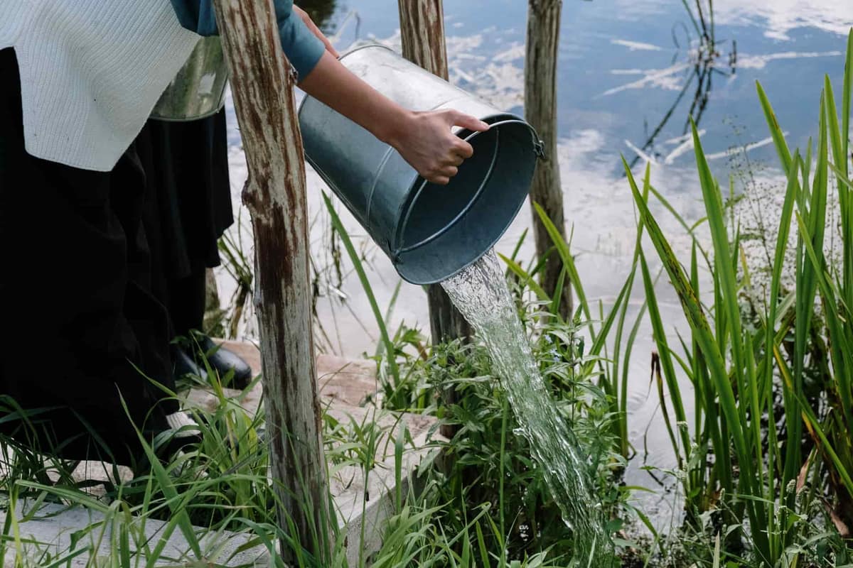 Water being poured from a bucket