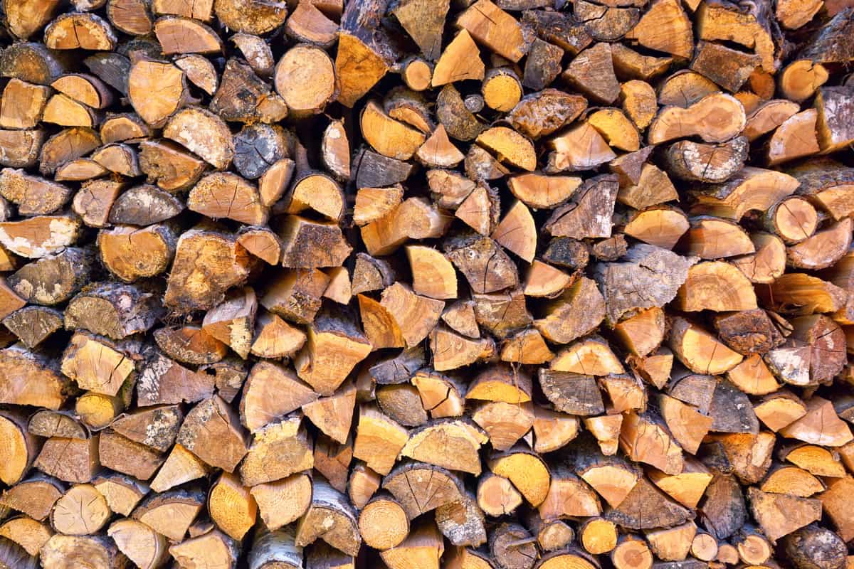 Split firewood stacked in a pile